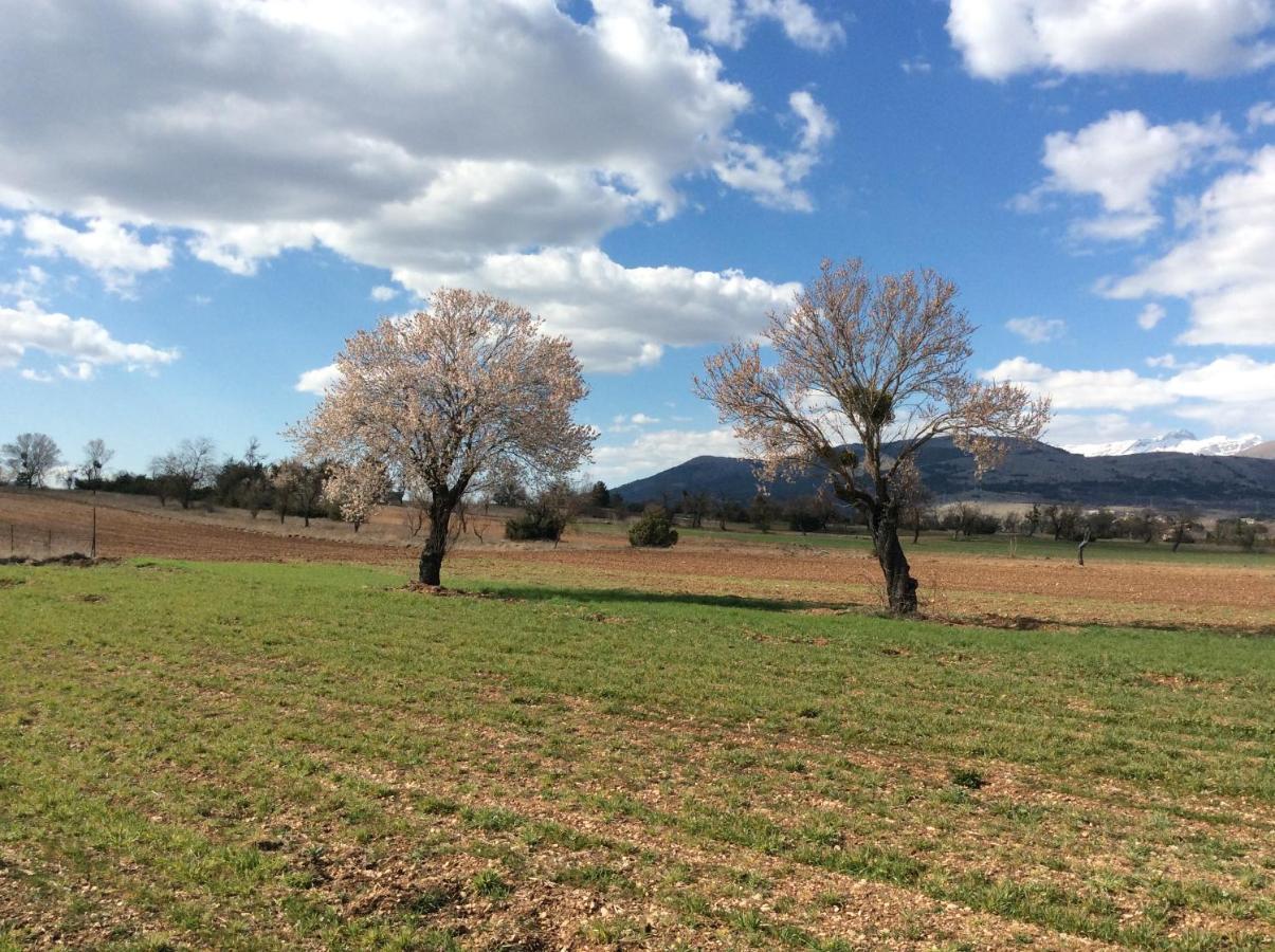Da Sciuri Case Vacanza Barisciano Buitenkant foto